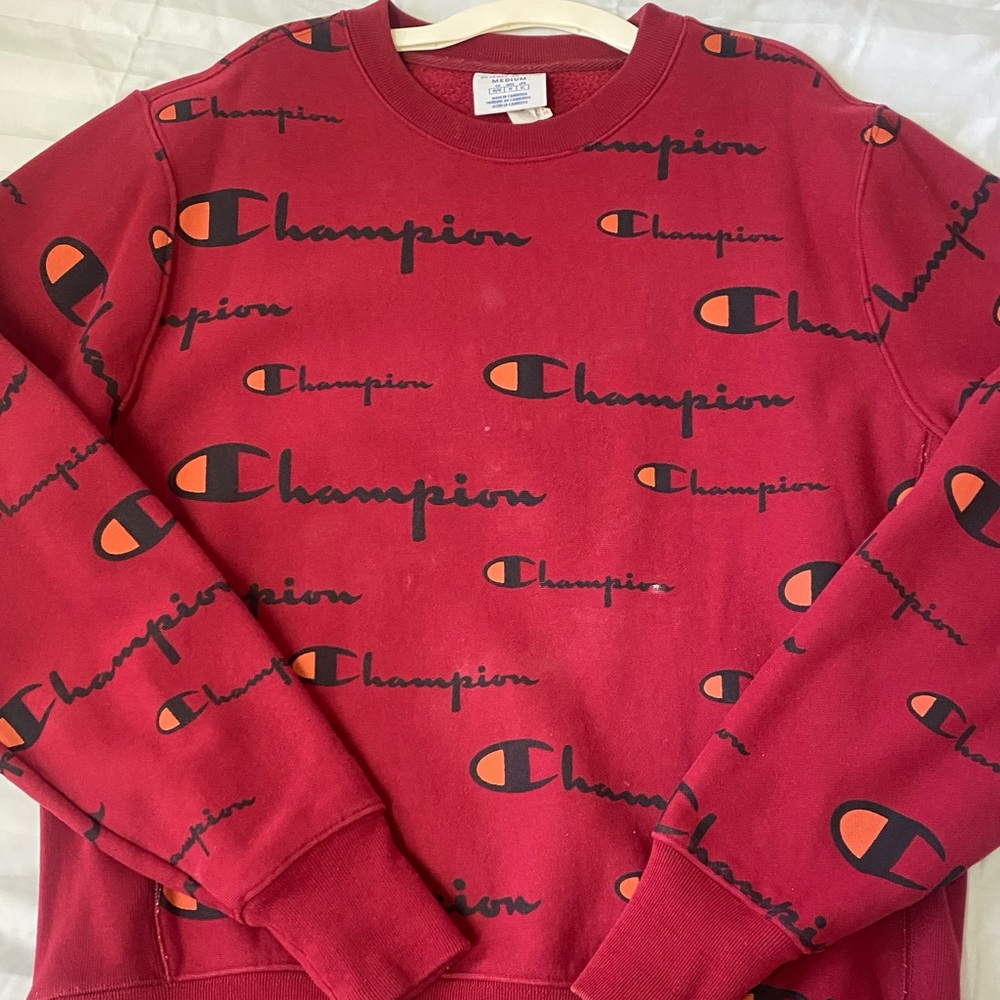 Champion sweatshirt, used